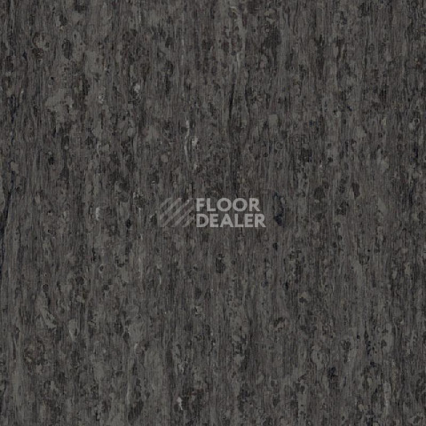 Линолеум Tarkett iq Optima NEUTRAL BLACK 0244 фото 1 | FLOORDEALER